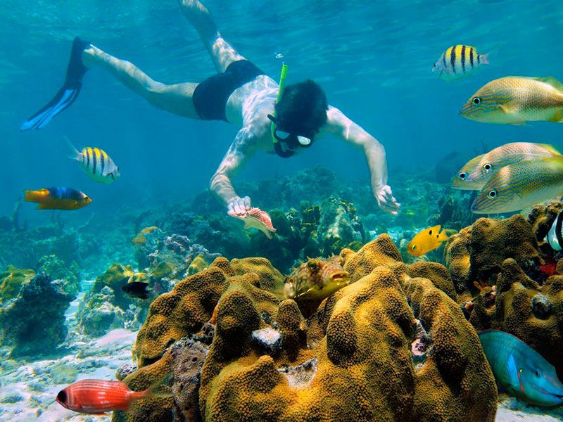 Excursion Tulum – Tour Snorkel – 4 Cenotes 3