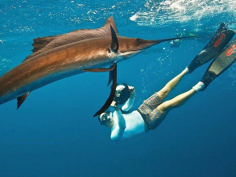 Tour de Snorkel
