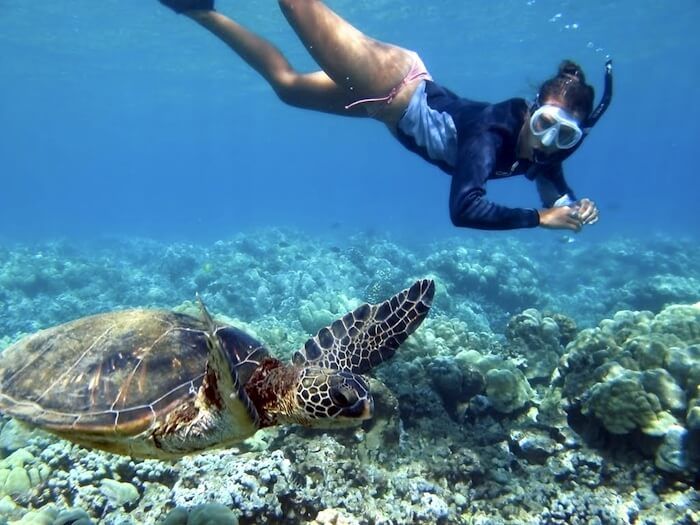 Tortugas Snorkel Tour Snorkel