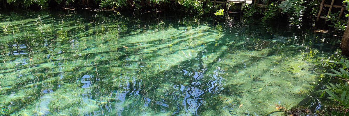 Cenote Saamal