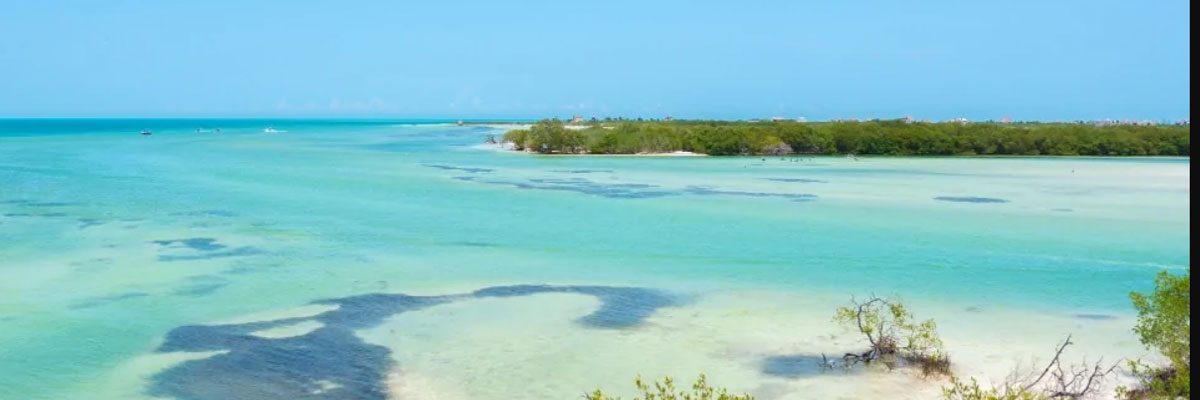 Punta Mosquito en Isla Holbox: un paraíso por conocer
