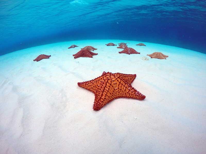 Cozumel en catamarán 3