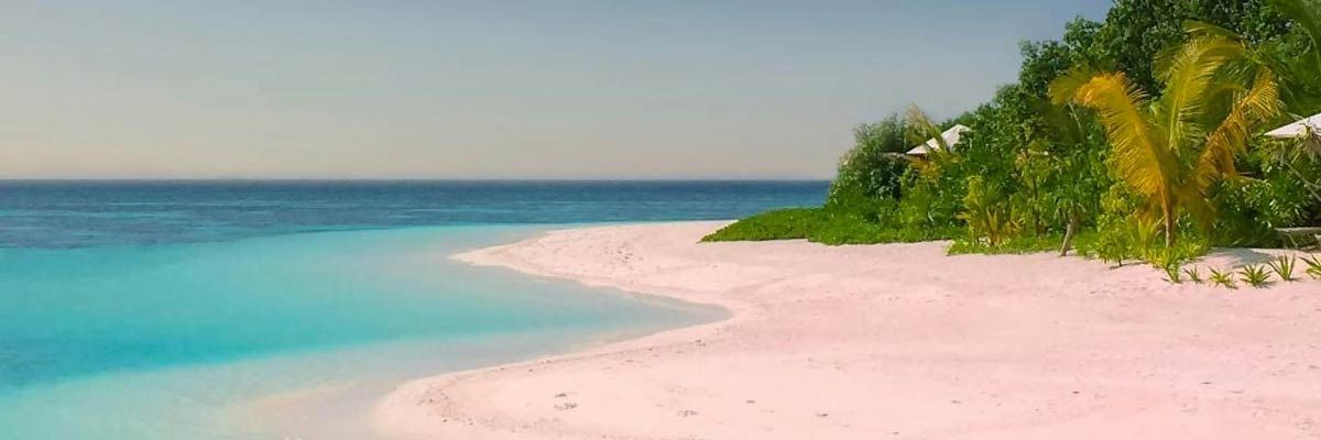 playa delfines