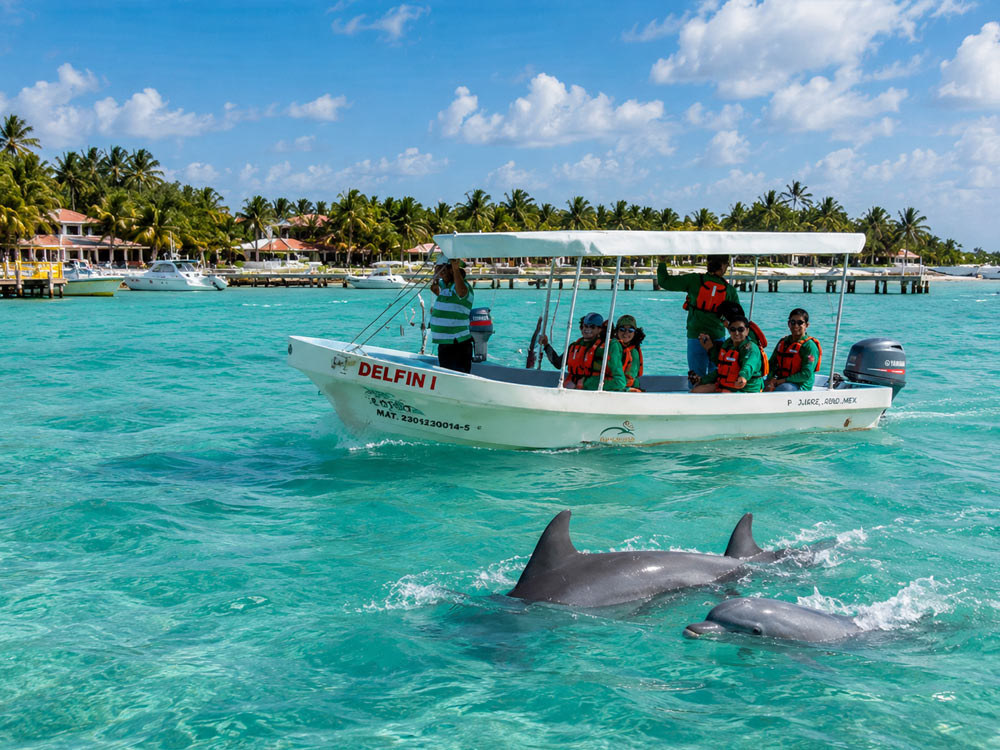 Excursión Punta Allen Delfines